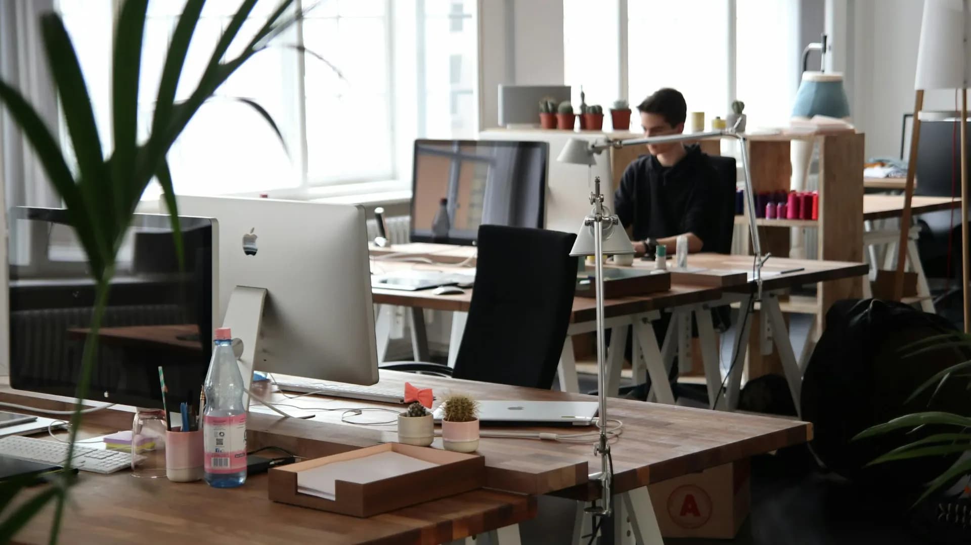 Startup & Scale-up